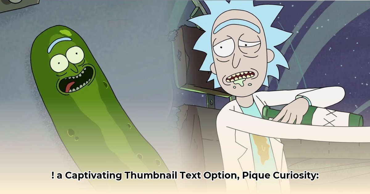 rick-steiner-net-worth